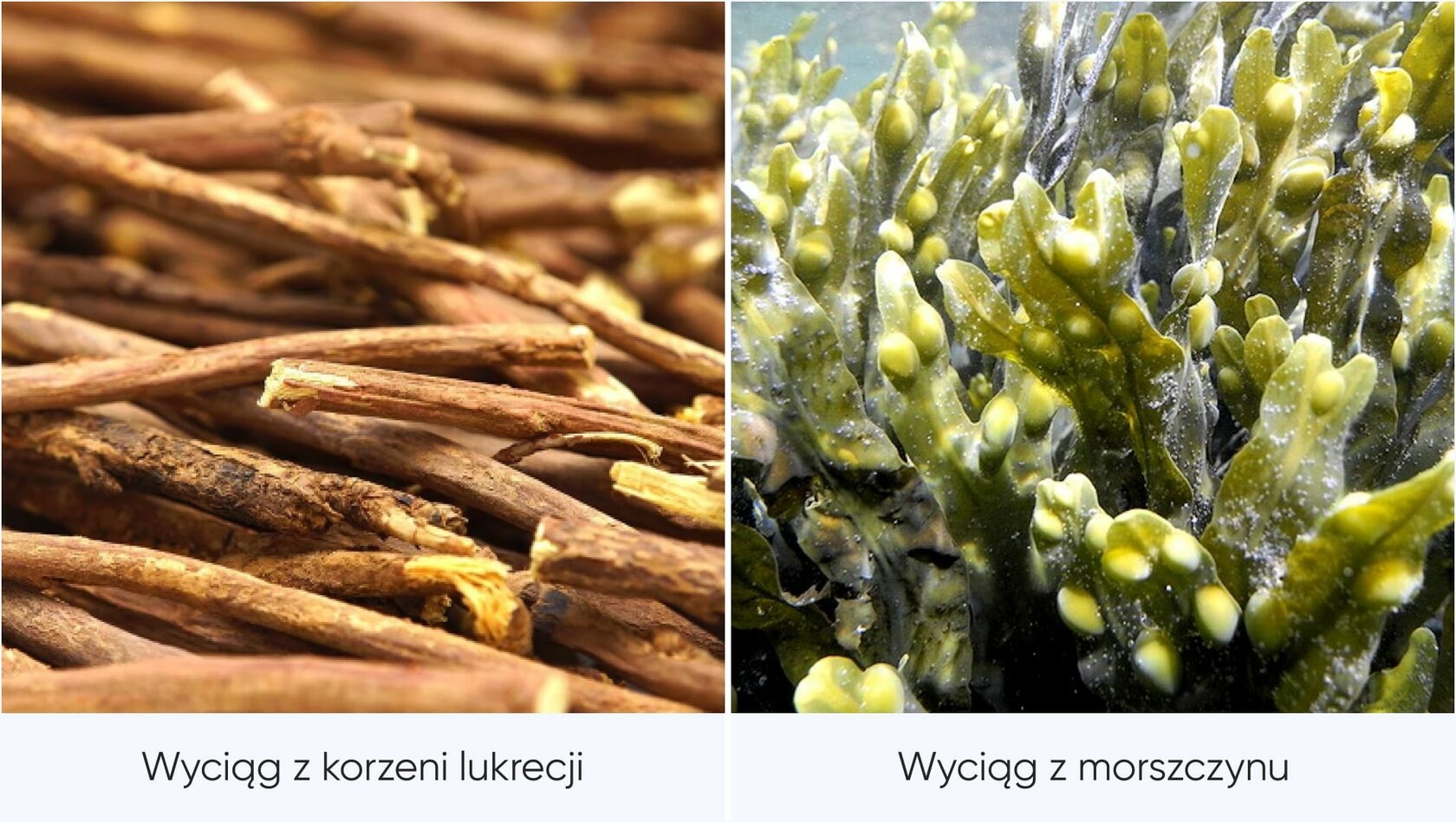 Bogaty naturalny skład do wyjątkowych zabiegów